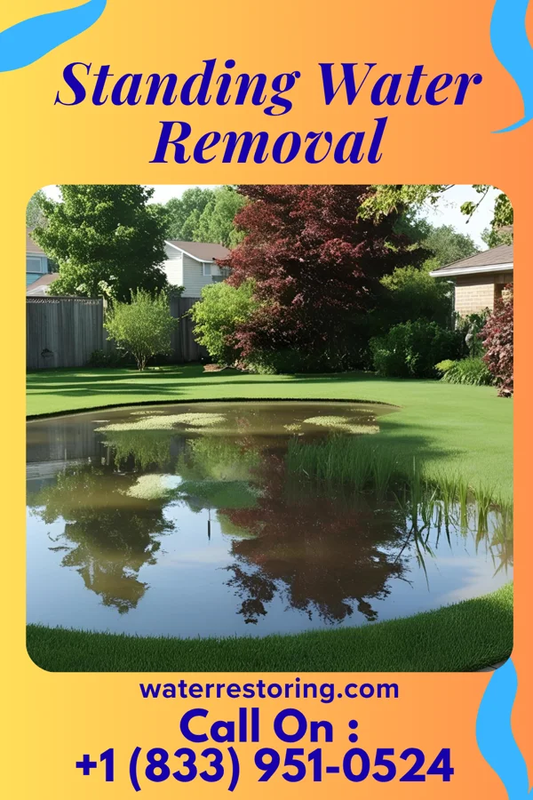Standing Water Removal in Belle Prairie City, IL